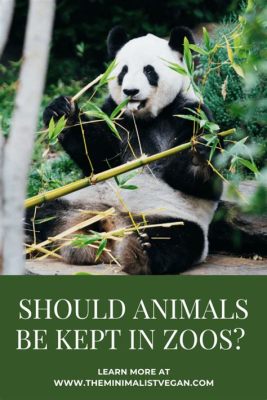 Should Animals Be Kept in Zoos? An In-Depth Analysis